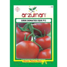 Arzuman Sırık domates (Işık F1 Hibrit) Tohumu (10 adet)