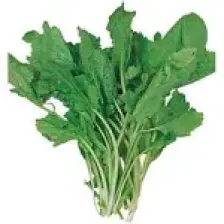 Arzuman Tere Otu Sebze Tohum Geniş Yaprak 10 gr
