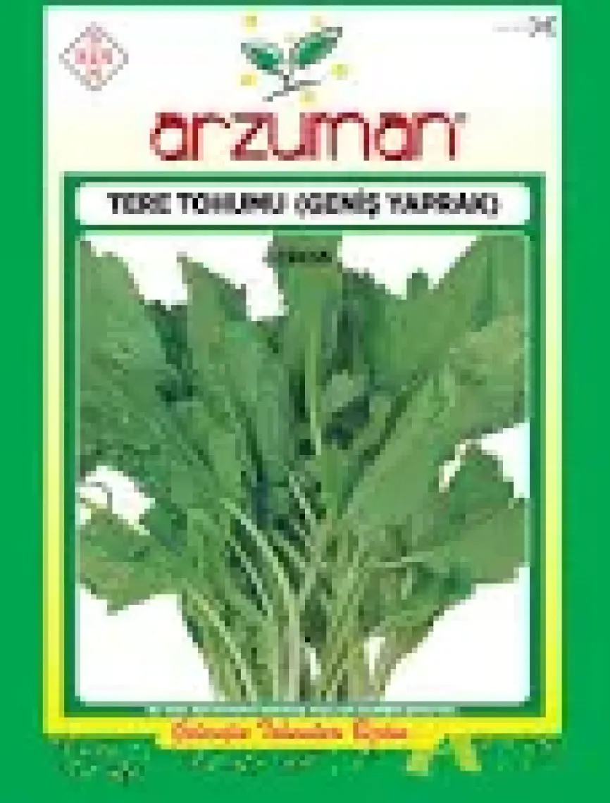 Karahasanoğlu Tarım Geniş Yaprak Tere Tohumu 25 gr