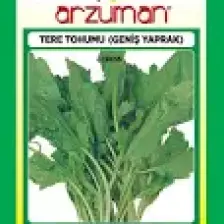 Karahasanoğlu Tarım Geniş Yaprak Tere Tohumu 25 gr