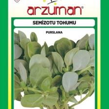 Yalova Fidan Market Semizotu Tohumu 10 gr