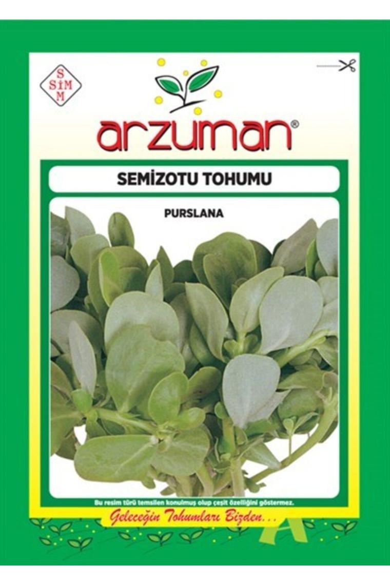 Yalova Fidan Market Semizotu Tohumu 10 gr