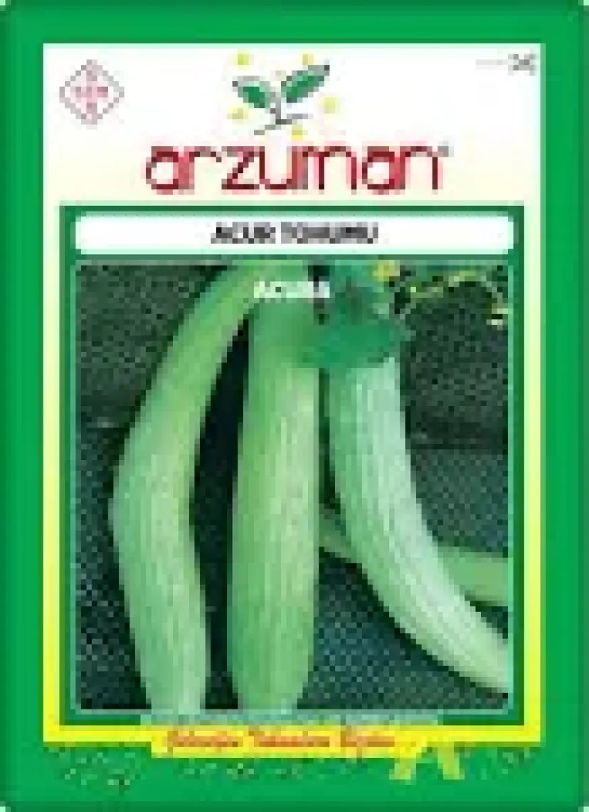 Arzuman Acur Tohumu 10 gr Beyaz-Uzun Tip
