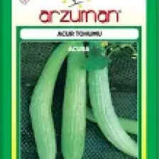 Arzuman Acur Tohumu 10 gr Beyaz-Uzun Tip