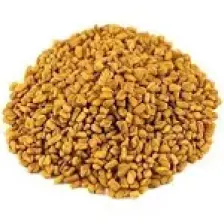 Çemen Otu Tohumu  1 kg