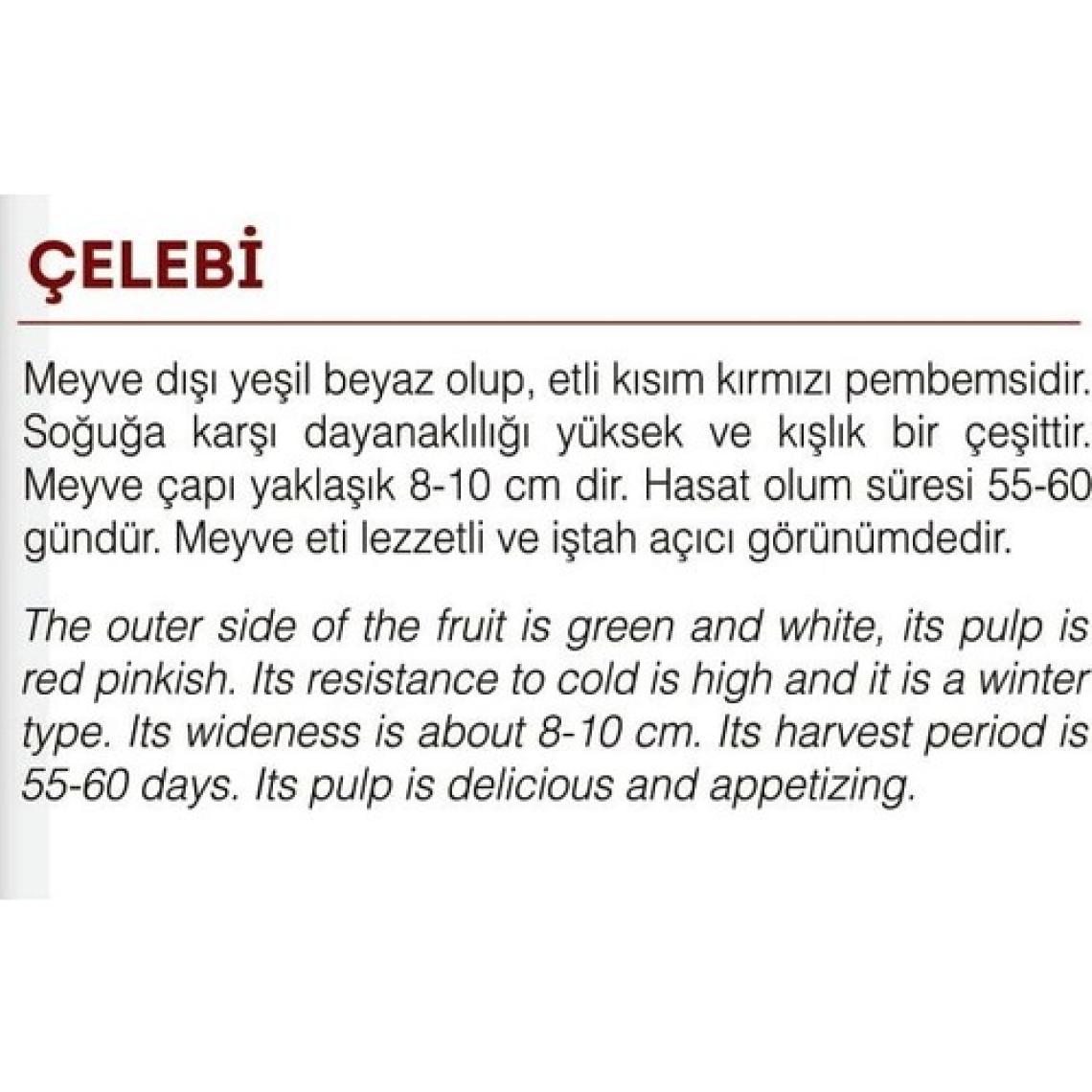 Agrodal Tarım Yerli Doğal Beyaz-Kırmızı Turp Çelebi 500 Adet Tohum