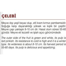 Agrodal Tarım Yerli Doğal Beyaz-Kırmızı Turp Çelebi 500 Adet Tohum
