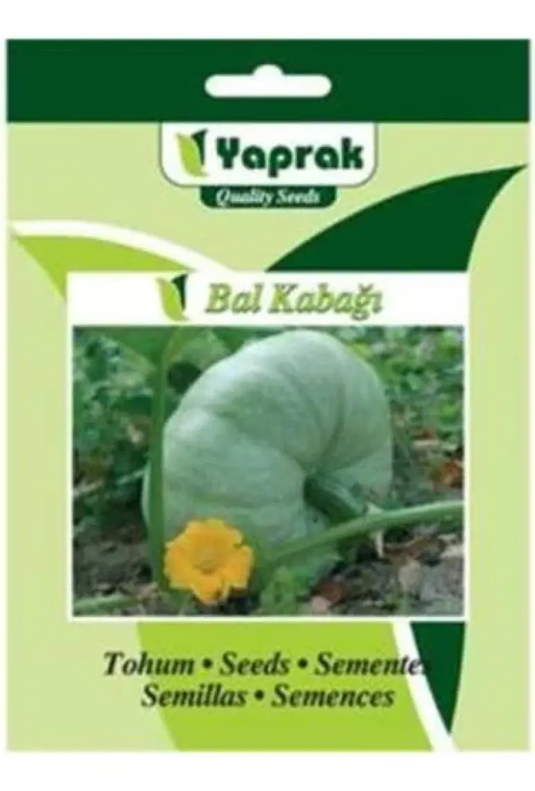 Kabak Balkabağı Tohumu(10 Gr)