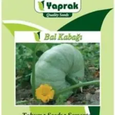 Kabak Balkabağı Tohumu(10 Gr)