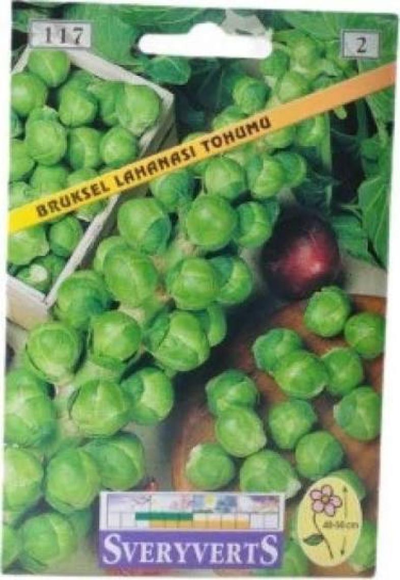 Sveryverts Brüksel Lahanası Tohumu