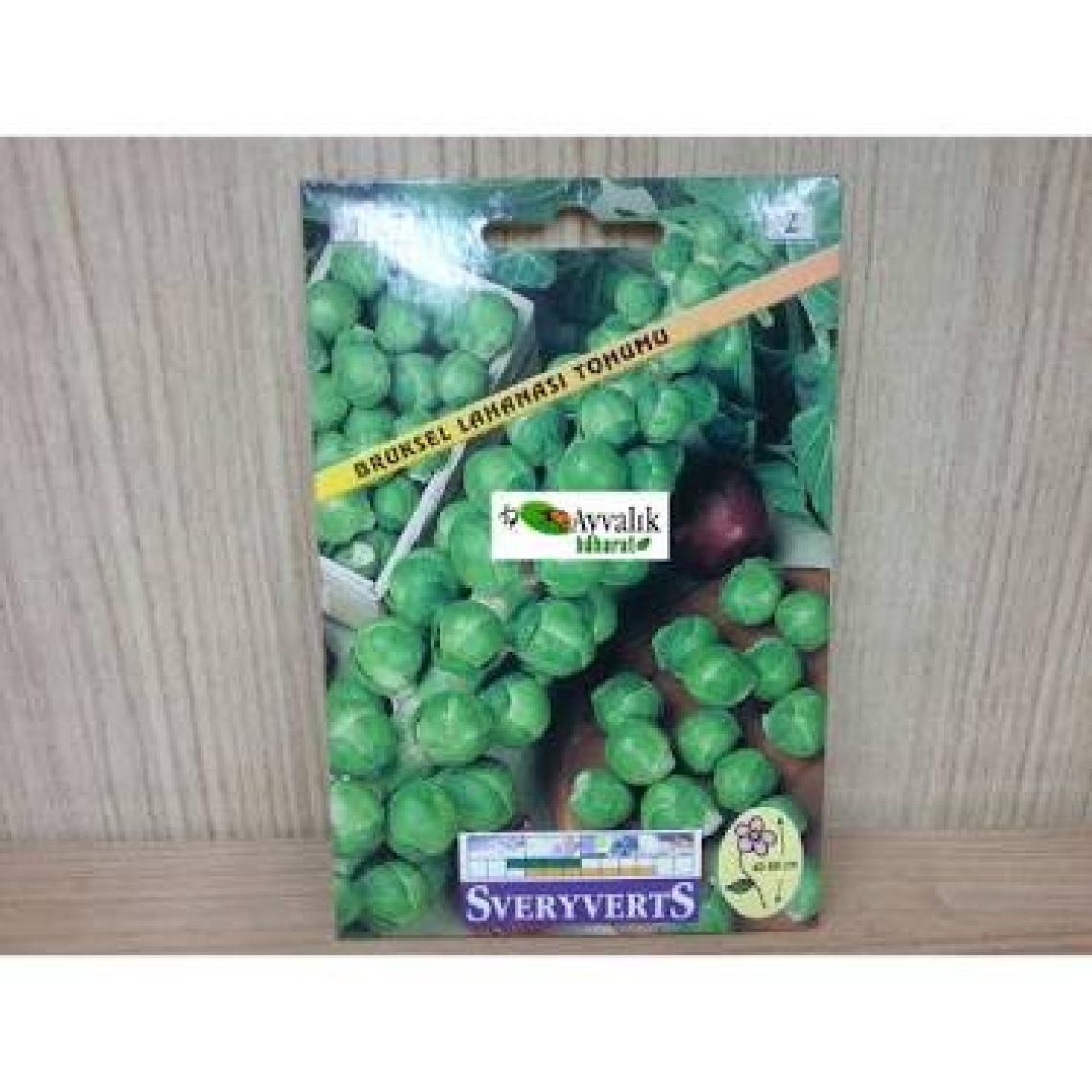 Sveryverts Brüksel Lahanası Tohumu