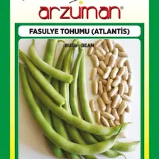 Arzuman Atlantis (Kırk Günlük) Oturak Fasülye Tohumu 50 Gram