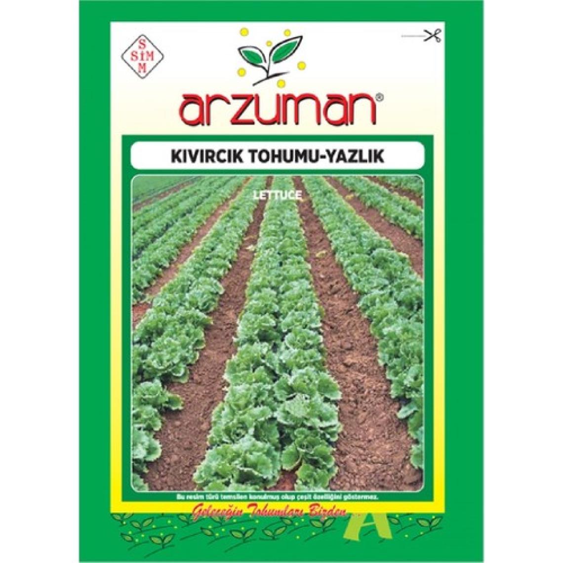 Arzuman Yazlık Marul - Kıvırcık Tohumu   (10 Gr)