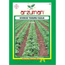 Arzuman Yazlık Marul - Kıvırcık Tohumu   (10 Gr)