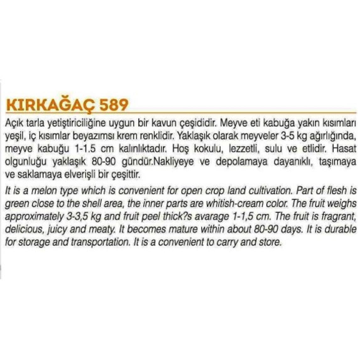 Agrodal Tarım Ata Tohumu Yerli Doğal Kavun KIRKAĞAÇ-589 Tip 100 Adet Tohum