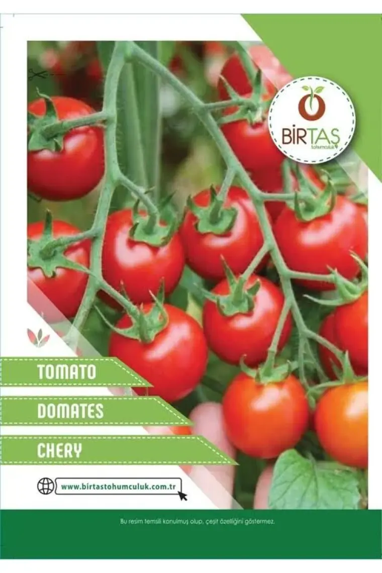Sveryverts Cherry Domates Tohumu
