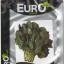 Rem Seeds Ispanak Tohumu 10 gr 800 Tohum
