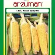 Karahasanoğlu Tarım Tatlı Mısır Tohumu 25 gr