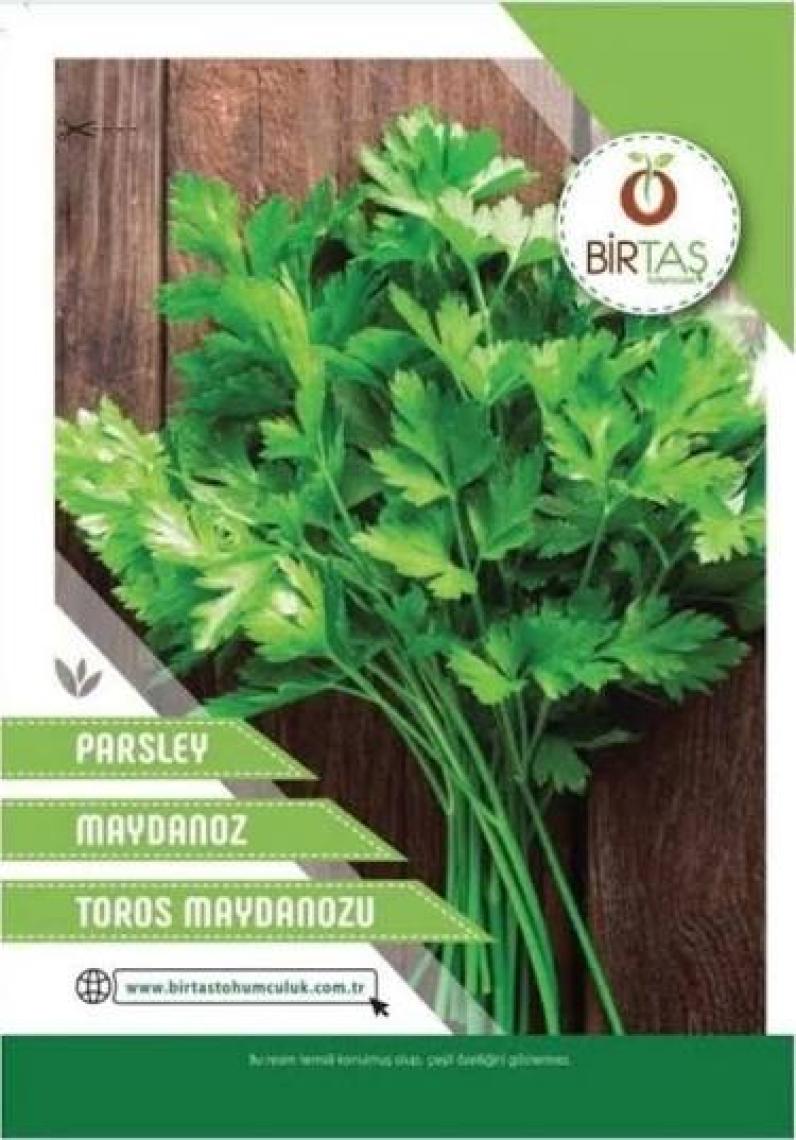 Rem Seeds Maydanoz Tohumu Toros Maydanozu 10 gr 5000'li