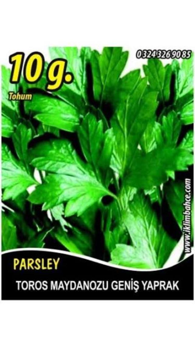 Rem Seeds Maydanoz Tohumu Toros Maydanozu 10 gr 5000'li