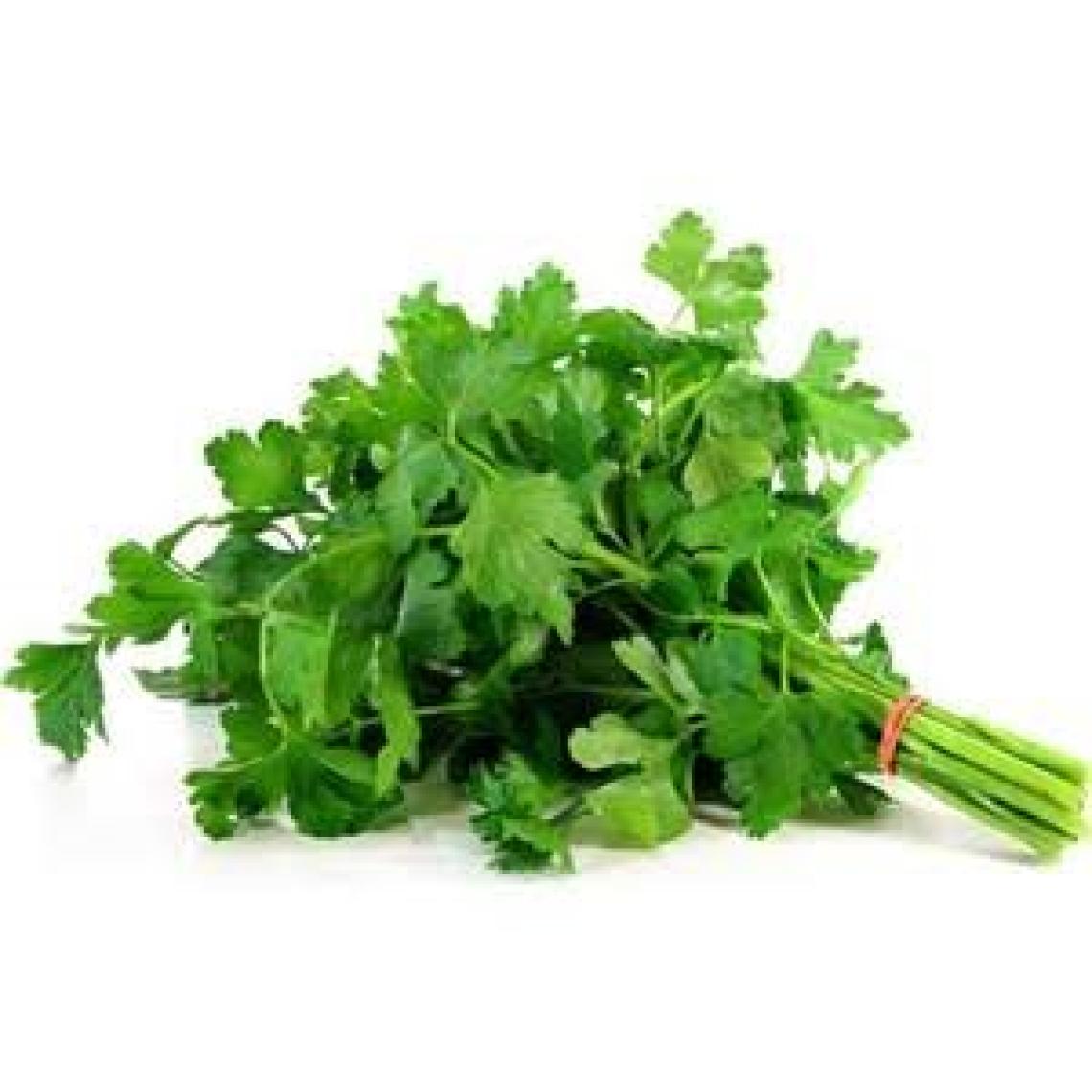 Rem Seeds Maydanoz Tohumu Toros Maydanozu 10 gr 5000'li