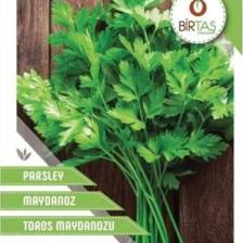 Rem Seeds Maydanoz Tohumu Toros Maydanozu 10 gr 5000'li
