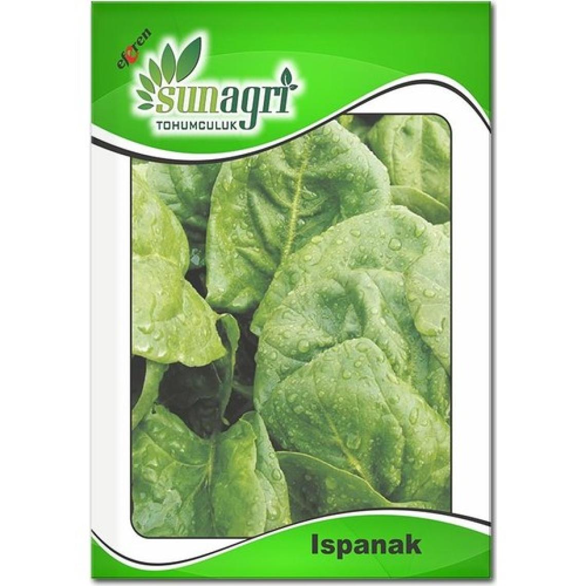 Sunagri Ispanak Tohumu (10 Gr.)