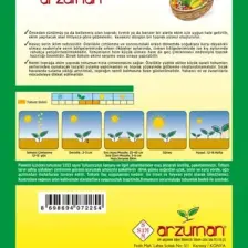 Arzuman Nantes Havuç 10 gr