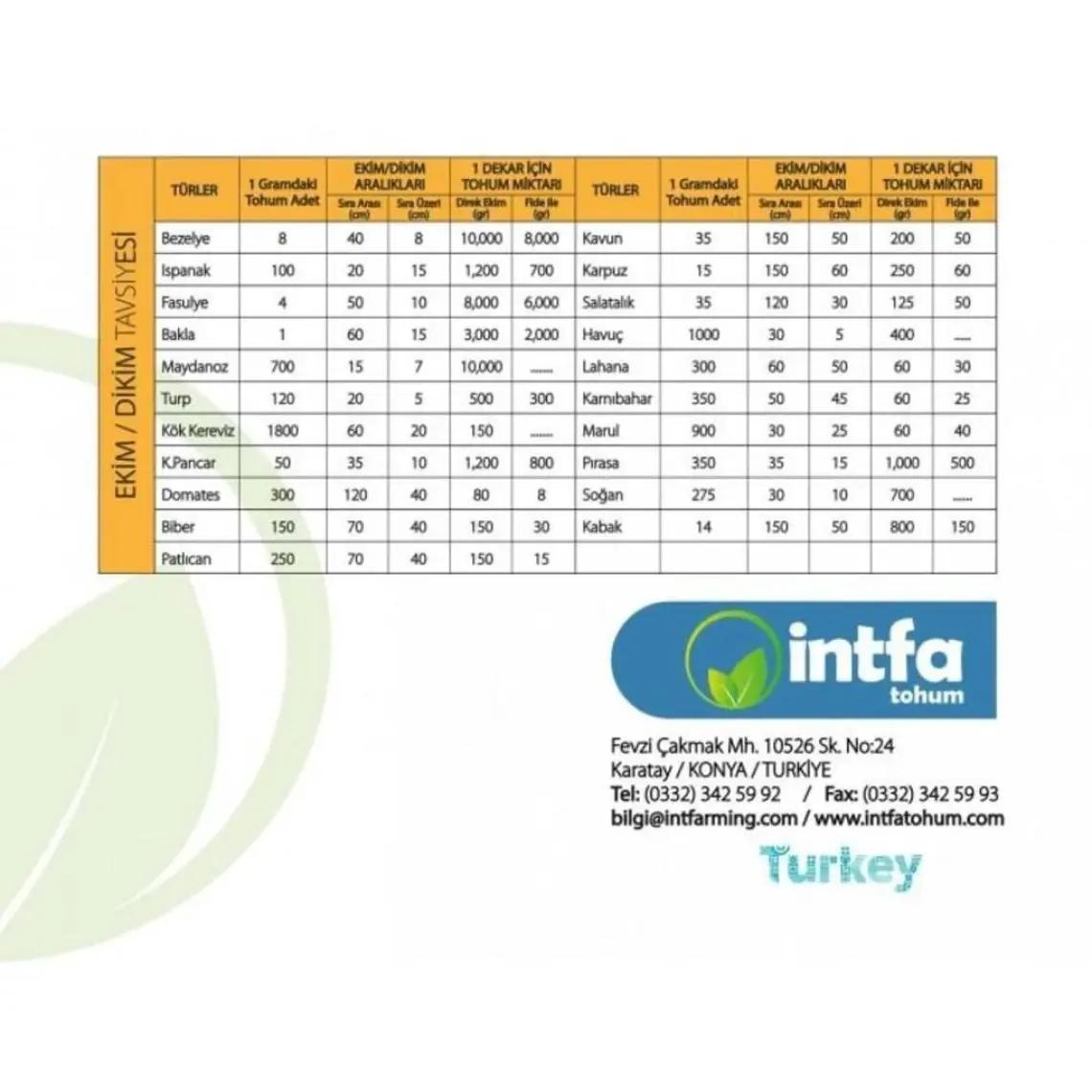 Ev Ve Bahçe Fındık Turp Tohumu (100 Tohum)