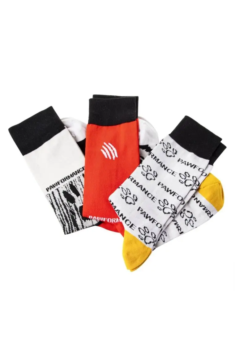 Biggdesign Dogs Pawformance Erkek Çorap Seti