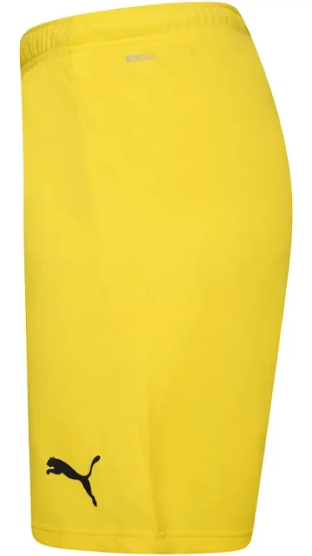 Puma Teamrise Short Erkek Futbol Maç Şortu 70494207 Sarı