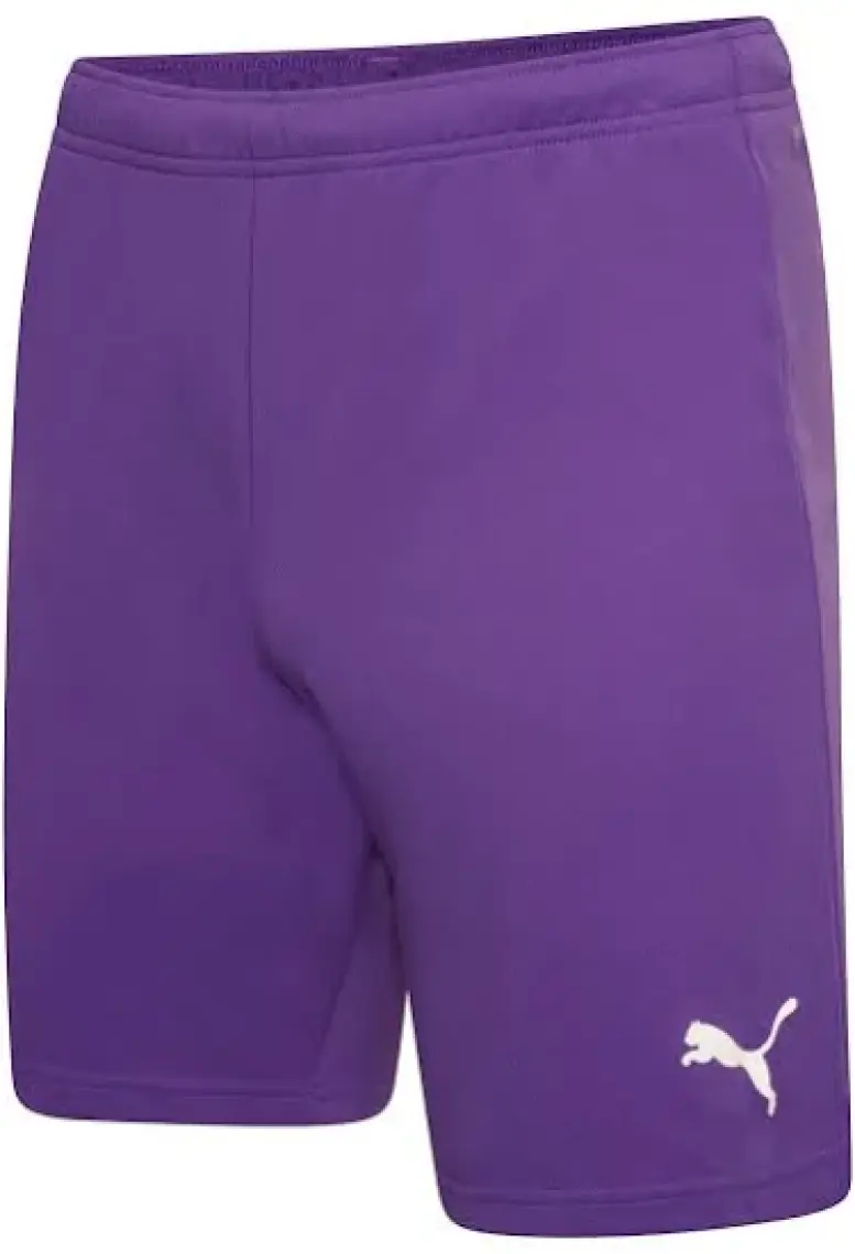 Puma Teamrise Short Erkek Futbol Şortu 70494201 Kırmızı
