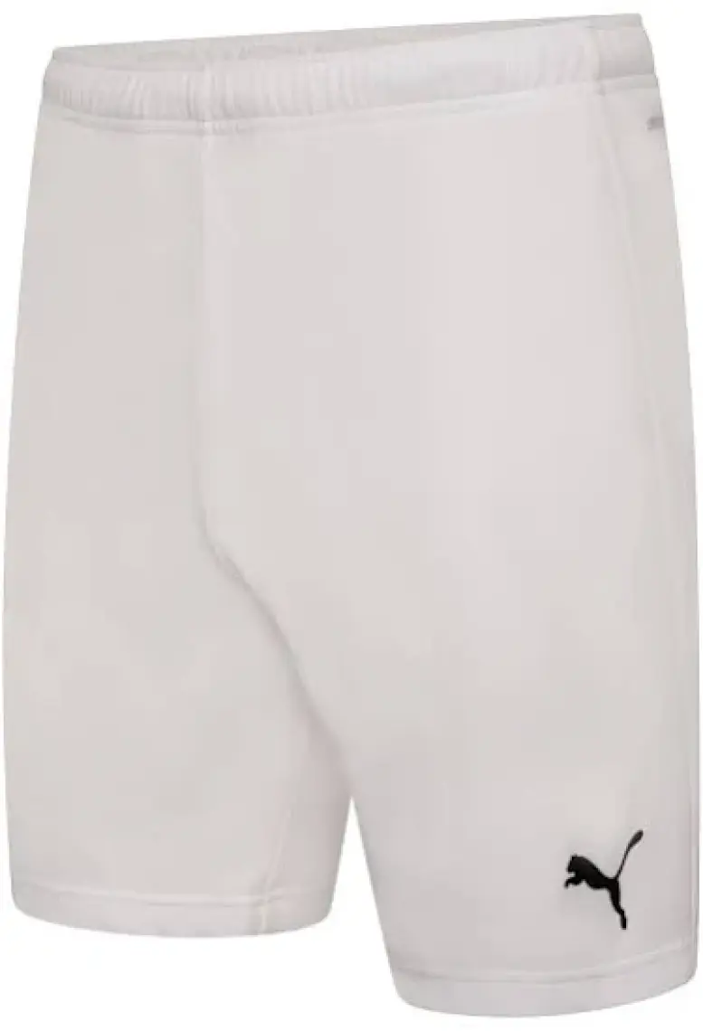 Puma Teamrise Short Erkek Futbol Şortu 70494201 Kırmızı