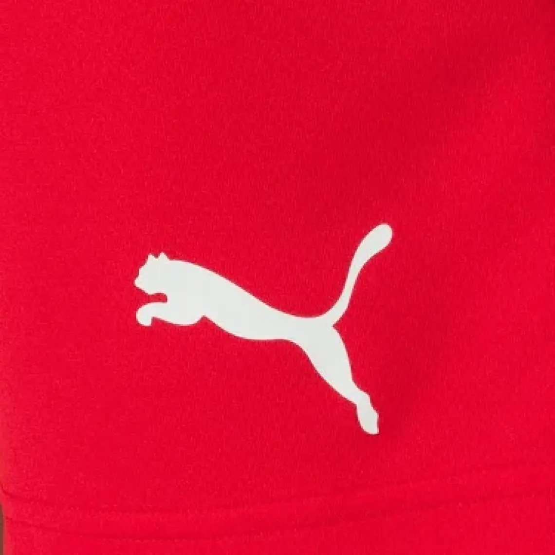 Puma Teamrise Short Erkek Futbol Şortu 70494201 Kırmızı