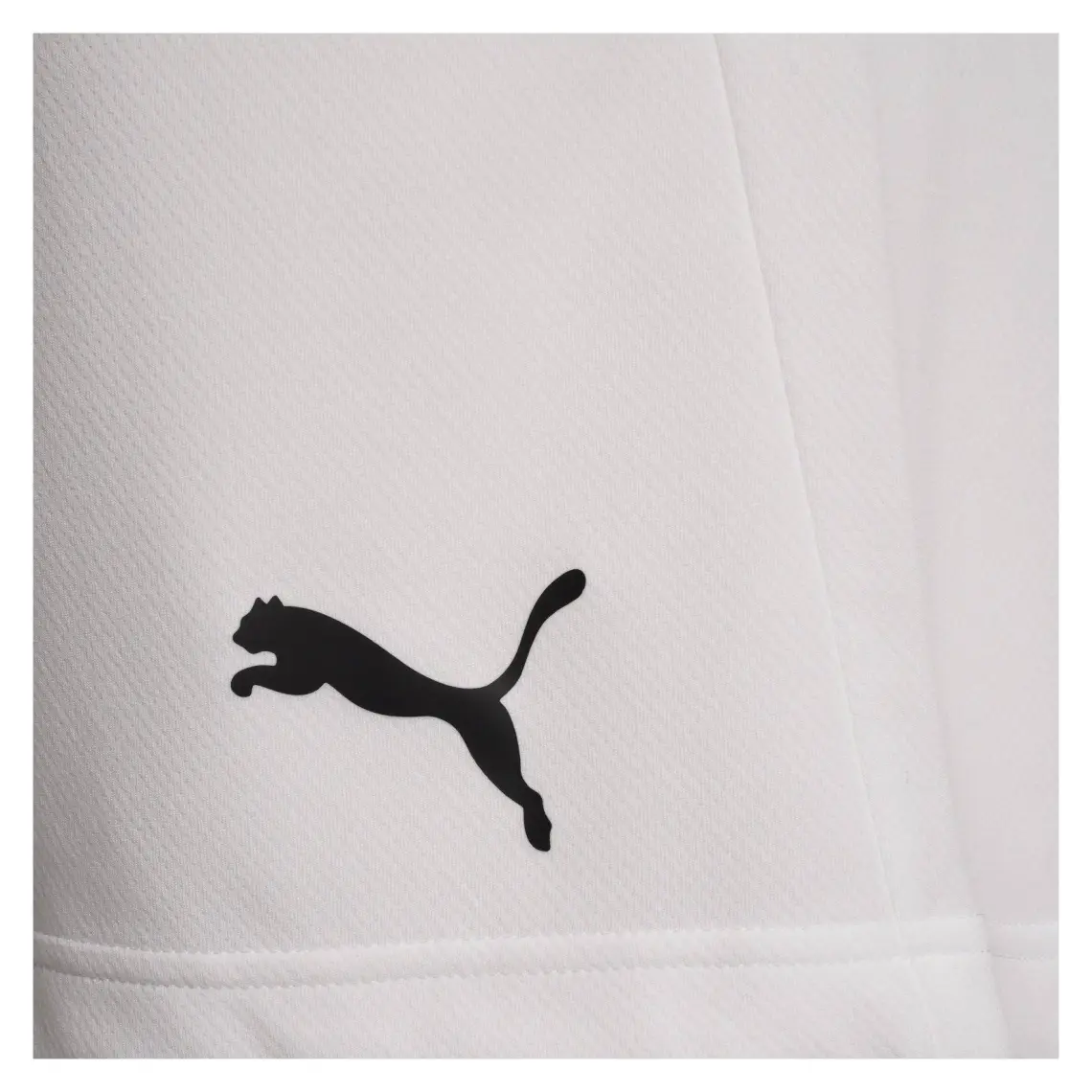 Puma Teamrise Short Erkek Futbol Şortu 70494203 Beyaz