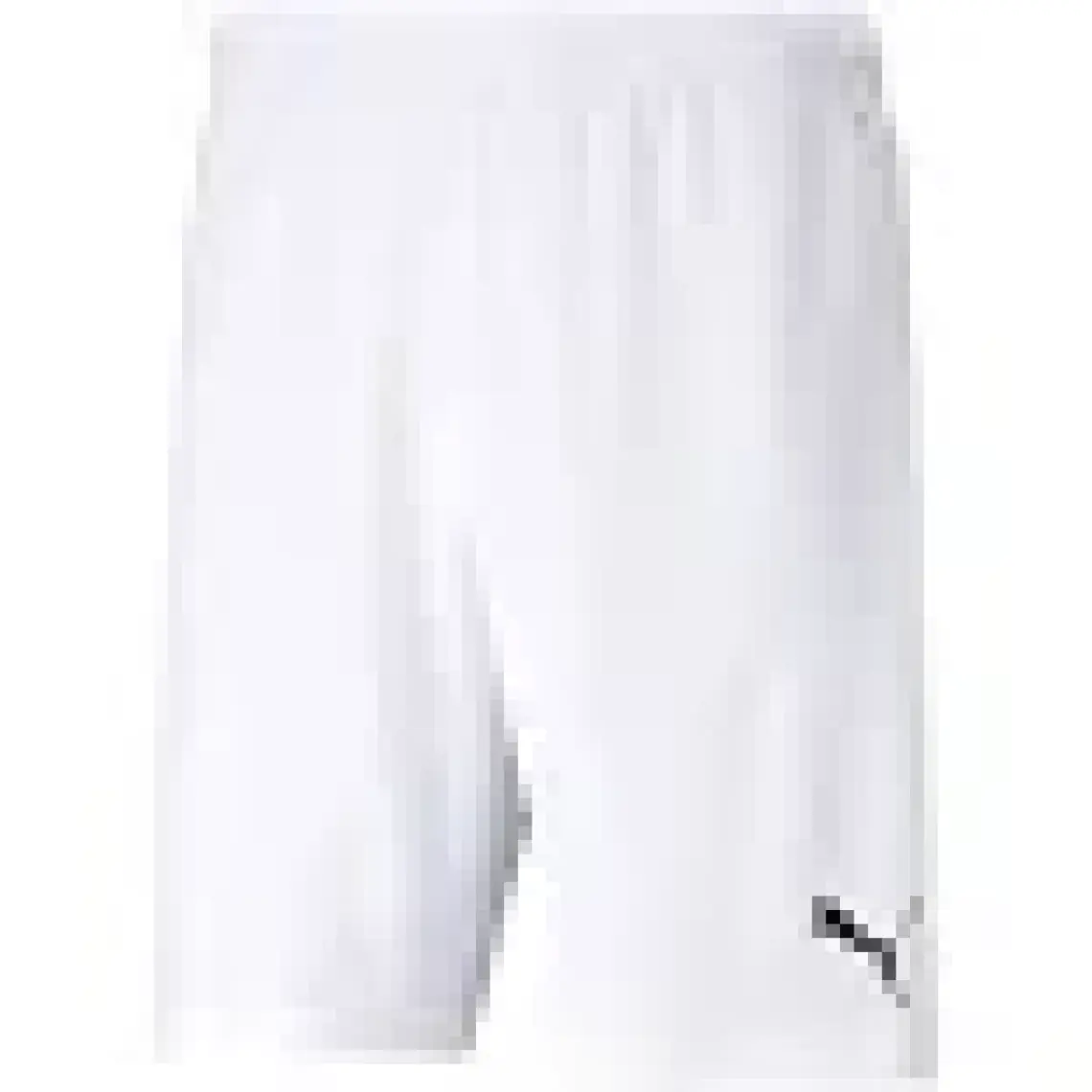 Puma Teamrise Short Erkek Futbol Şortu 70494203 Beyaz
