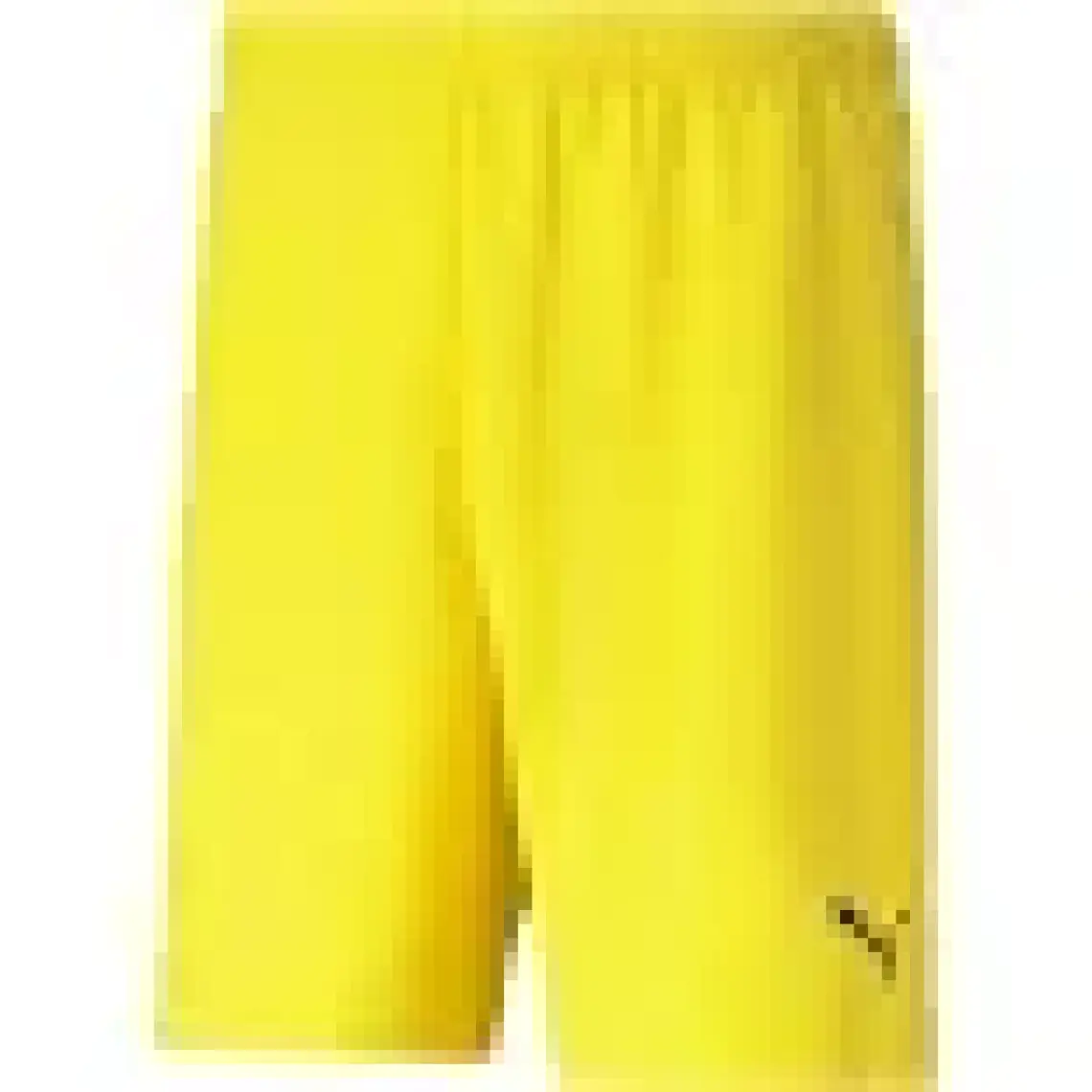 Puma Teamrise Short Erkek Futbol Şortu 70494203 Beyaz