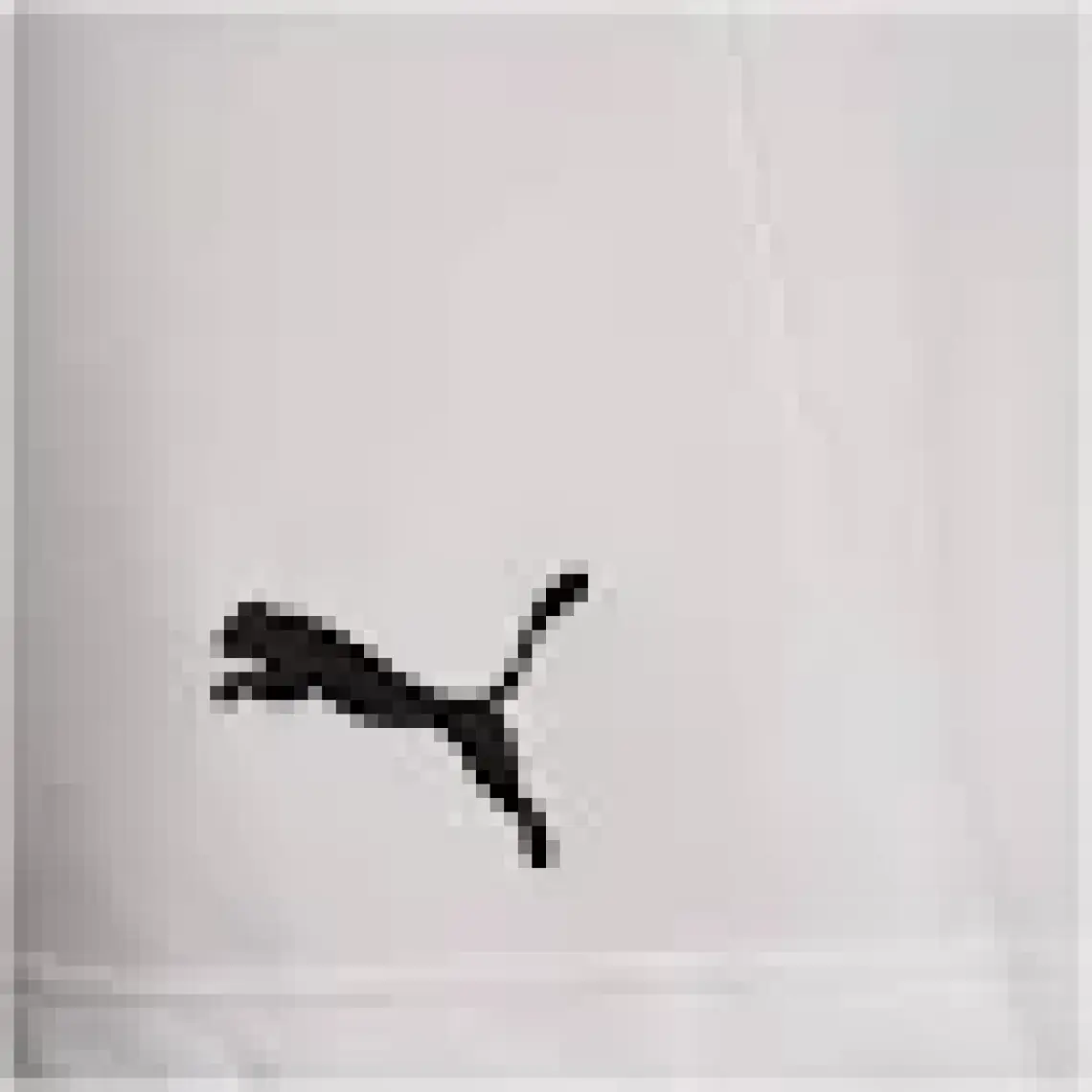 Puma Teamrise Short Erkek Futbol Şortu 70494203 Beyaz