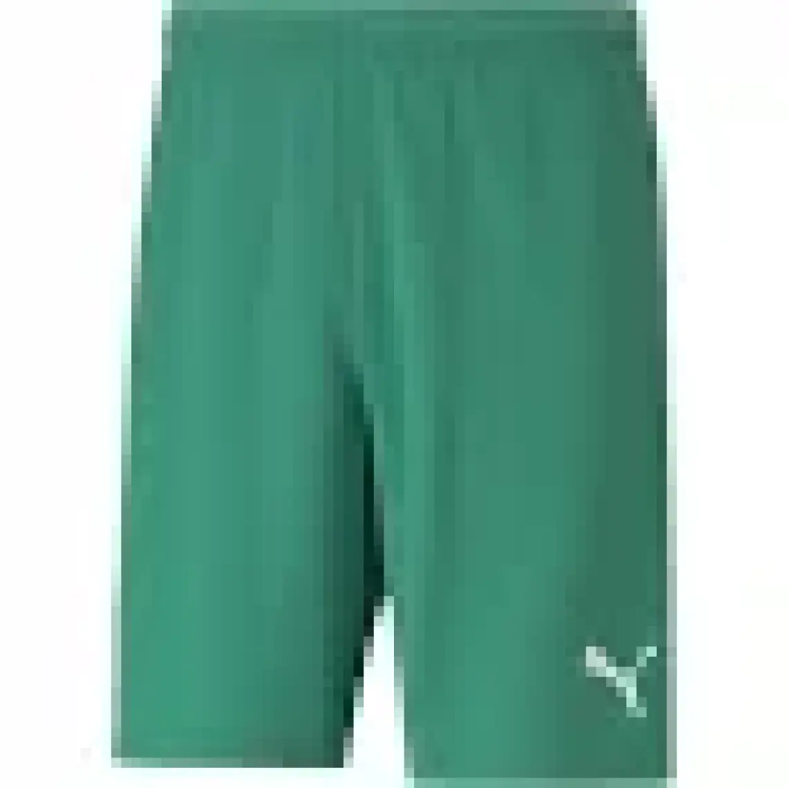 Puma Teamrise Short Erkek Futbol Şortu 70494203 Beyaz