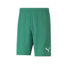 Puma Teamrise Short Erkek Futbol Şortu 70494201 Kırmızı