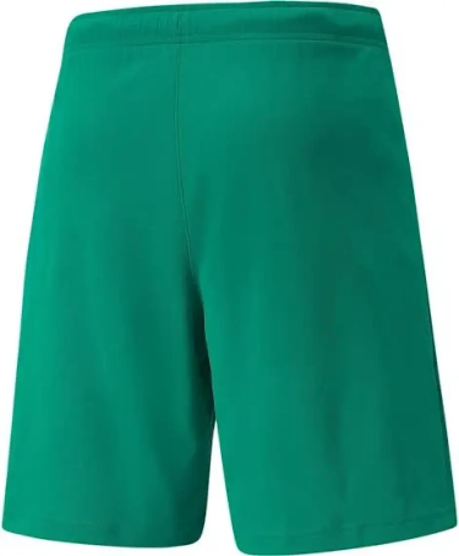 Puma Teamrise Short Erkek Futbol Maç Şortu 70494205 Yeşil