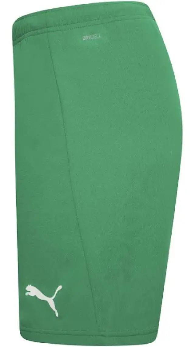 Puma Teamrise Short Erkek Futbol Maç Şortu 70494205 Yeşil