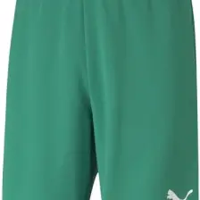 Puma Teamrise Short Erkek Futbol Maç Şortu 70494205 Yeşil