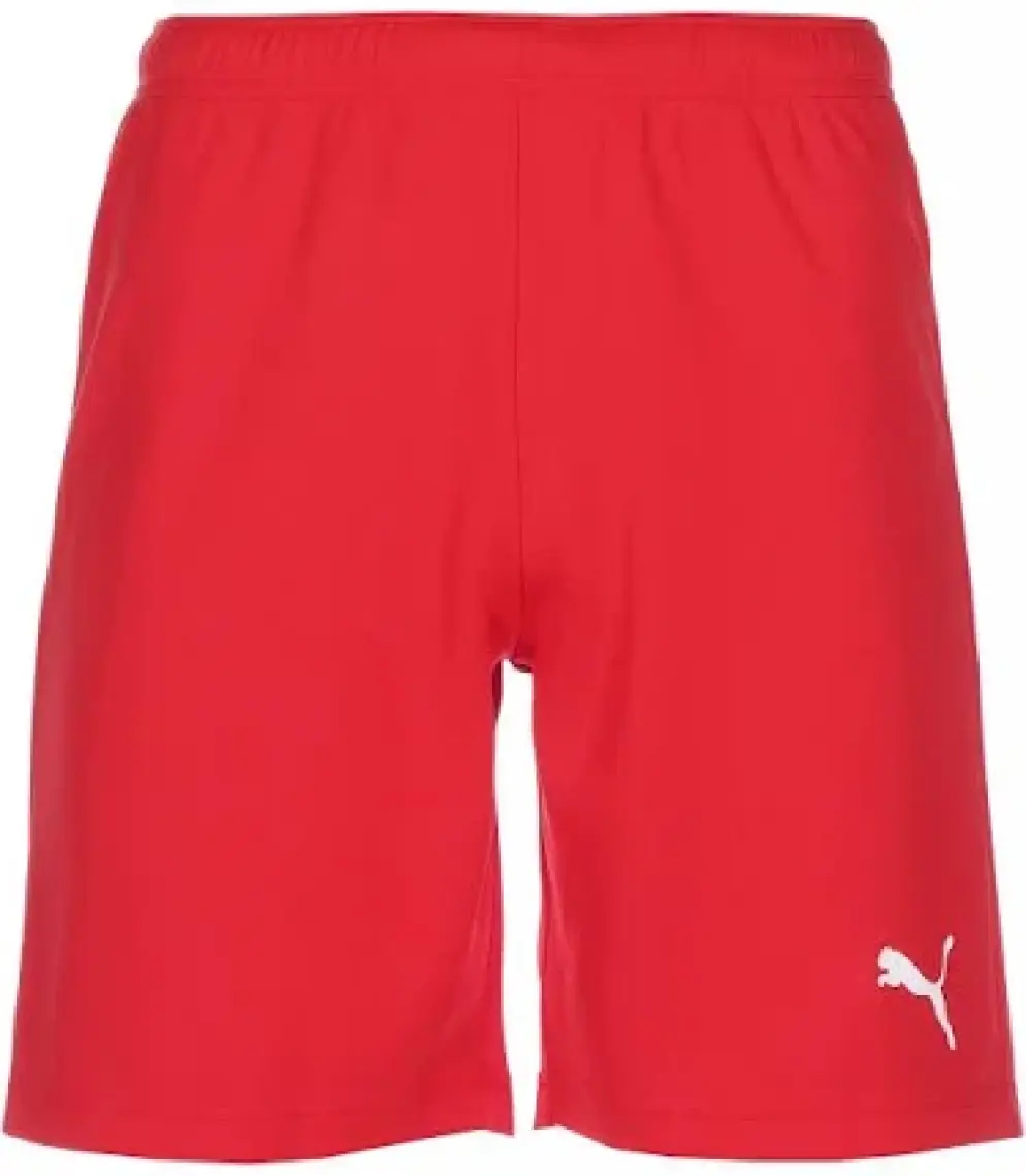 Puma Teamrise Short Erkek Futbol Şortu 70494203 Beyaz