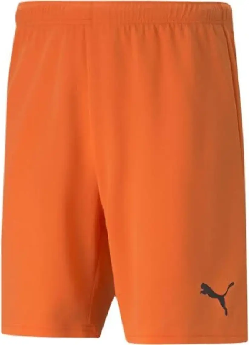 Puma Teamrise Short Erkek Futbol Şortu 70494203 Beyaz