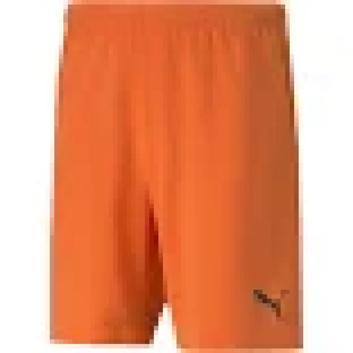 Puma Teamrise Short Erkek Futbol Şortu 70494201 Kırmızı