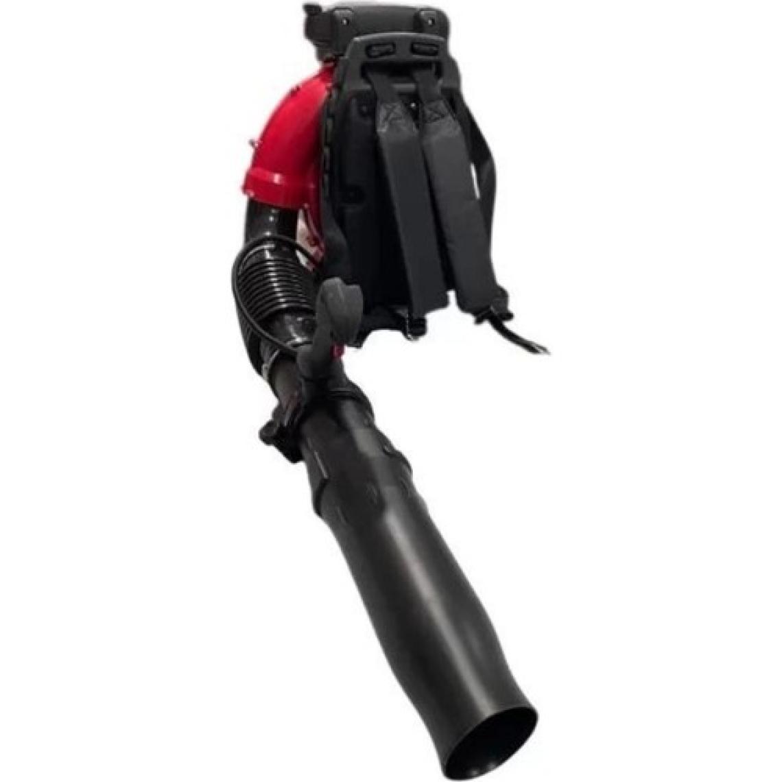 Palmera EB-985 Euro 5 Üfleme Makinesi
