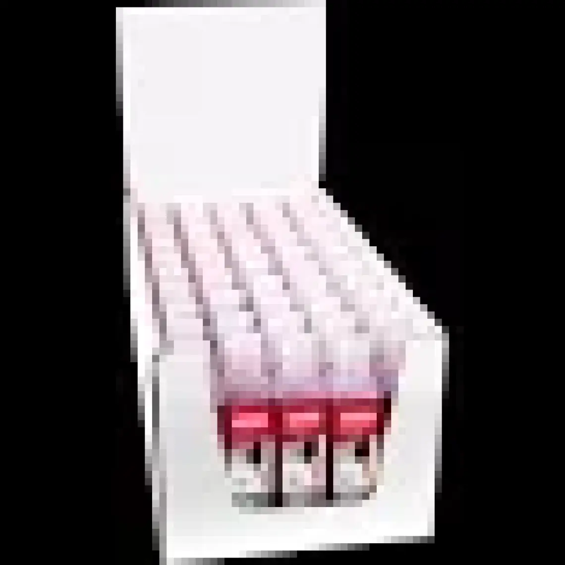 Oregon 2T 100 ml Yağ
