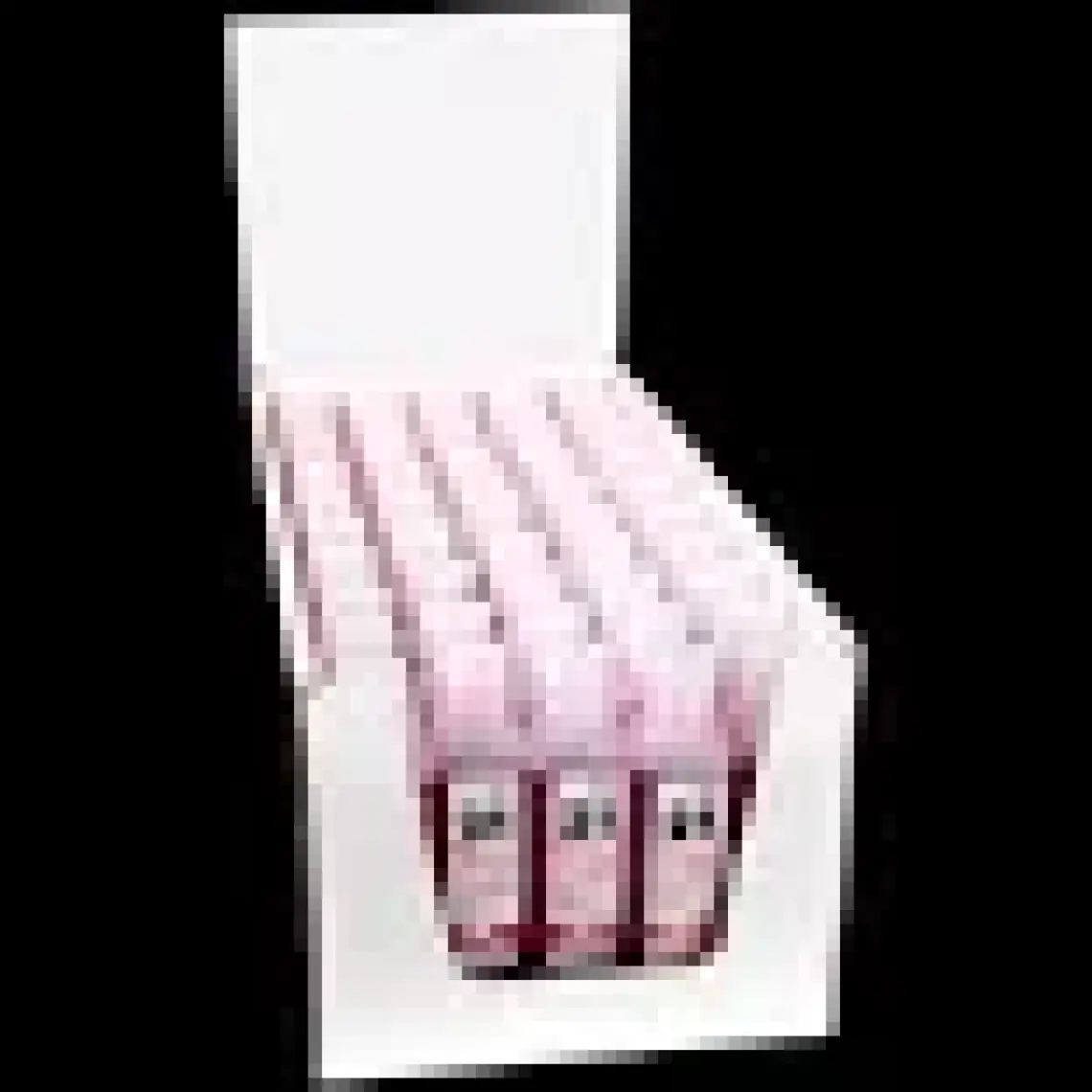 Oregon 2T 100 ml Yağ