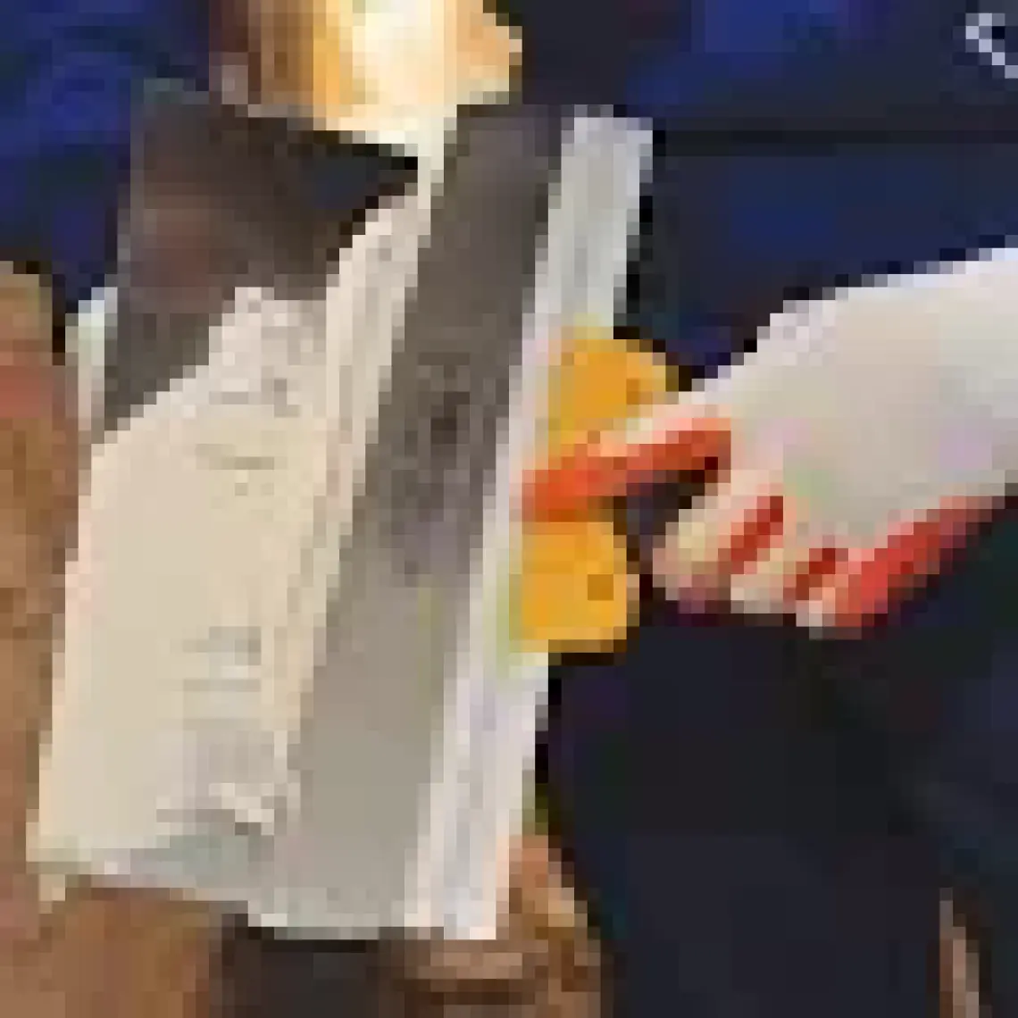 Dekor Plastık Egrı Saplı Ispatula Yay Çelıgı 25 Cm  246